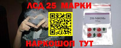 Альфа ПВП Будённовск