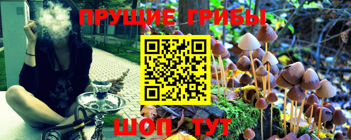 Псилоцибиновые грибы мицелий  Псилоцибиновые грибы ЛСД  Ртищево  где купить наркоту  Вход с VPN 