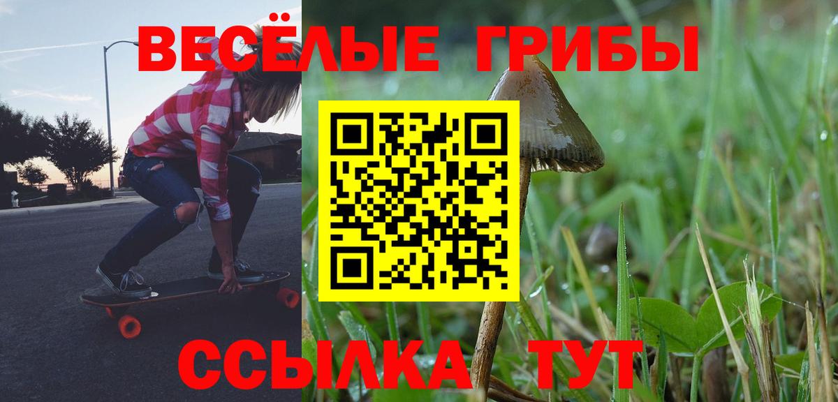 Галлюциногенные грибы мицелий Ртищево